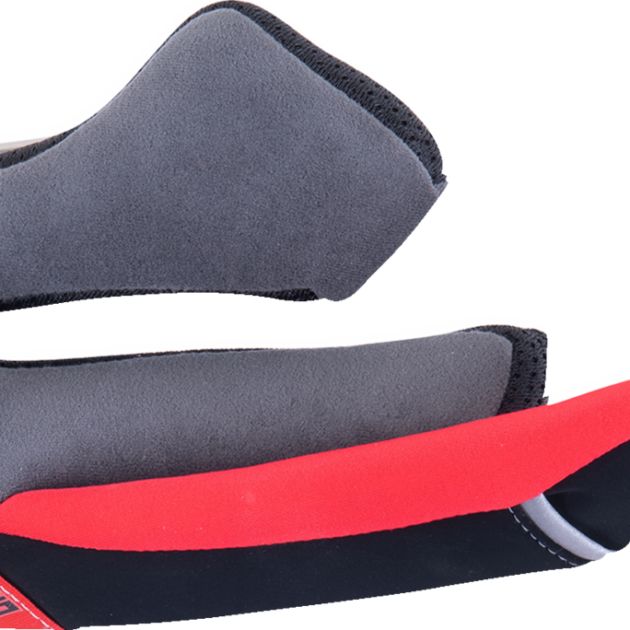 Almohadillas Alpinestars PAD SET S-R10 15MM