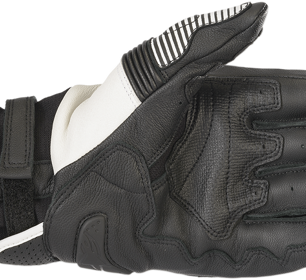 Guante Alpinestars GPX V2 BW