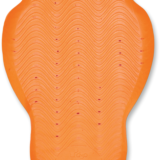 Protector D30 Back